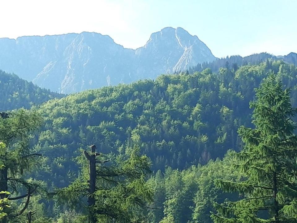 Kwatery Prywatne-Romanowka Zakopane Exterior photo